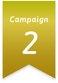 Campaign 2